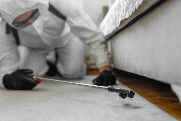 Professional Bed Bug Control technician working in Northville, NY