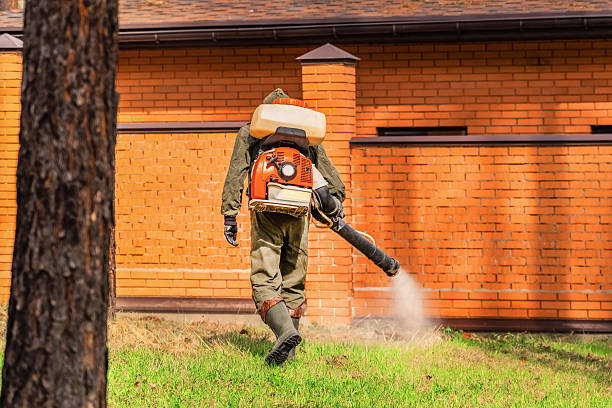 Trusted Ant Control service in Northville, NY - Nex Pest Control